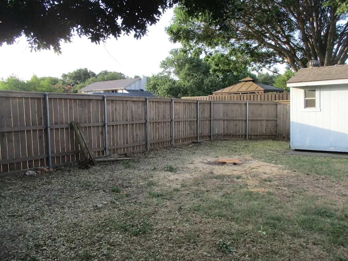 Cleared yard after professional tree removal in Crestone